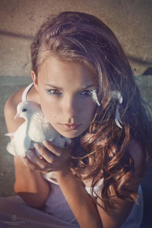 Голубьphoto preview