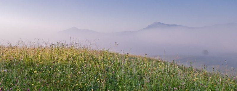 В утренней мглеphoto preview