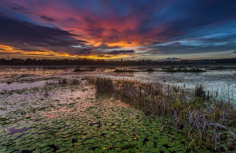 Цветная серияphoto preview