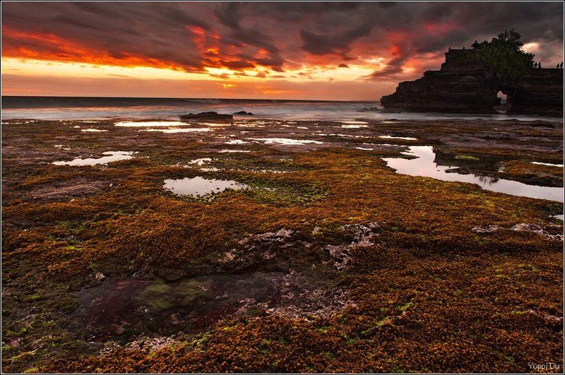 Отливphoto preview