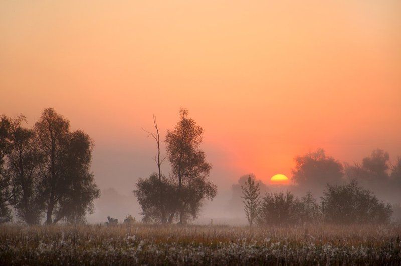 С добрым  утромphoto preview