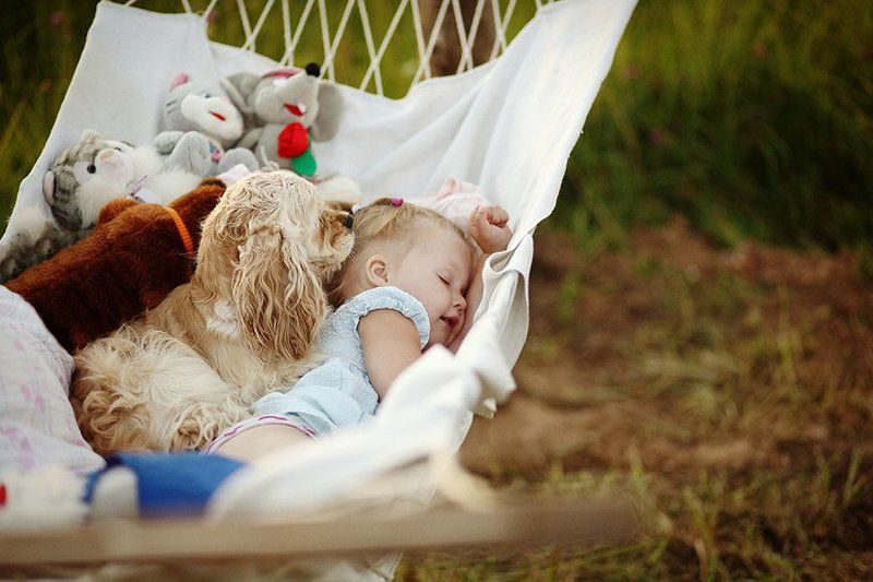 Ники и Рикиphoto preview