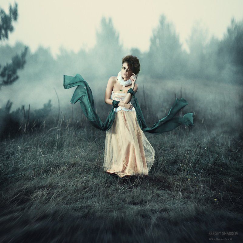 Fog [rincessphoto preview