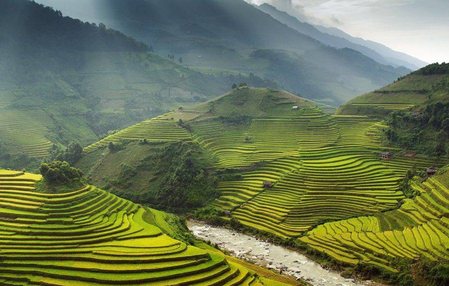 CHECUNHA - Вьетнам. Автор: Hai Trinh Xuan hai, вьетнам, Hai Trinh Xuan