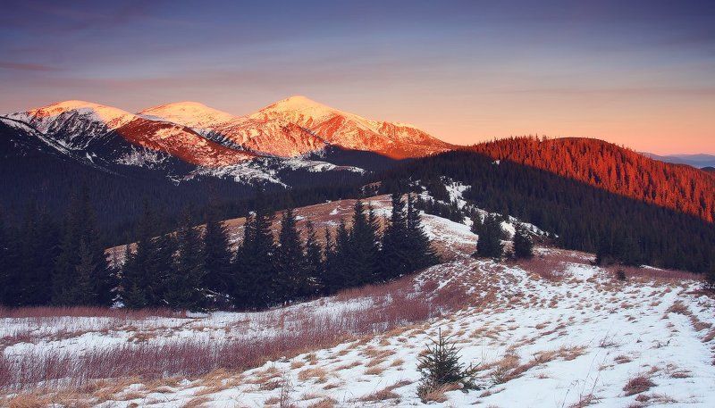 карпаты, горы, , украина, черногора, снег, говерла, утро Первый снегphoto preview