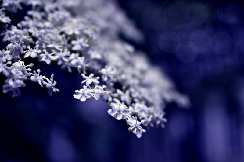 blue world.photo preview