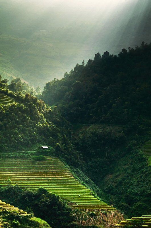 hai, вьетнам Home фото превью