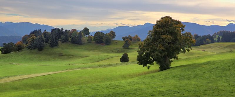 бавария о зелёных лугах в голубой далиphoto preview