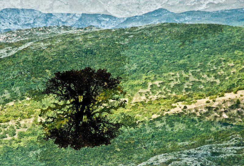 мультиэкспозиция, мультик photo preview