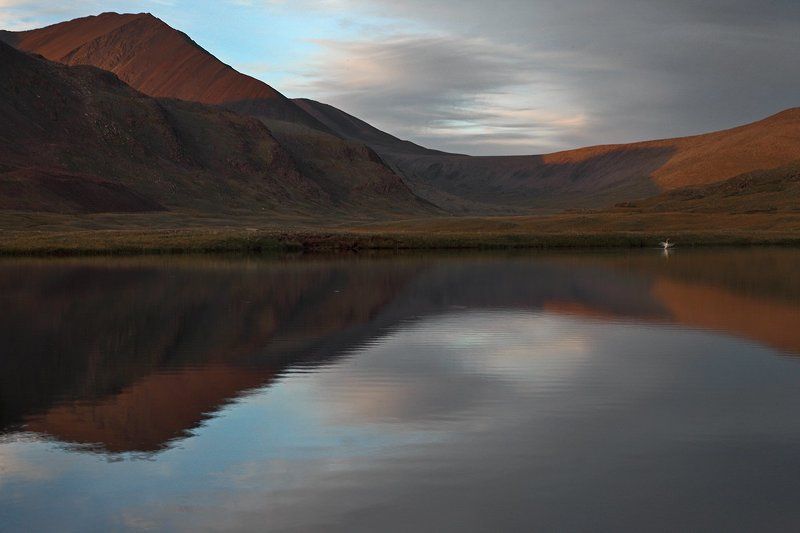 Одинокий лебедьphoto preview