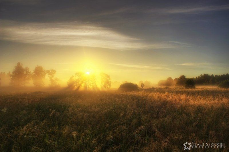 туман, утро, солнце, лучи, поле Мягкое тепло фото превью