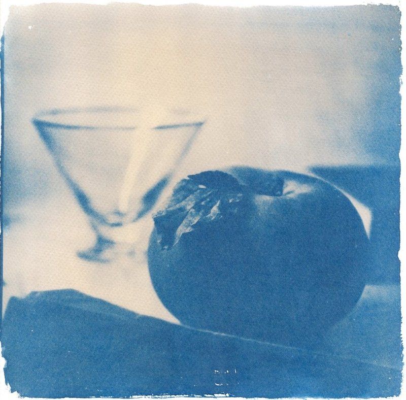 cyanotype, , print ***photo preview