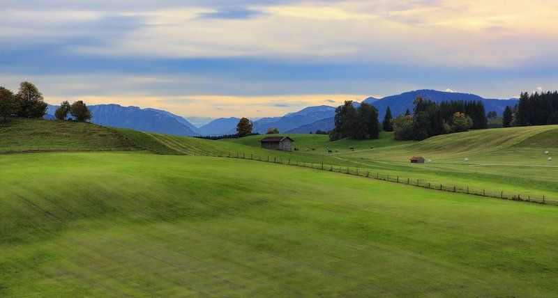 бавария и вновь о зелёных лугах в голубой далиphoto preview