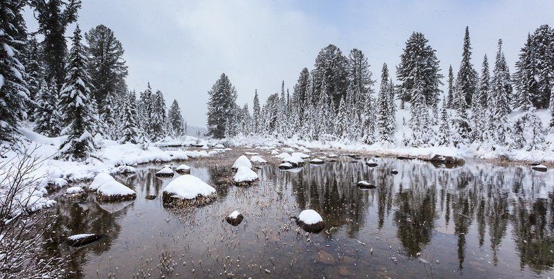 тихо падал молодой снегphoto preview