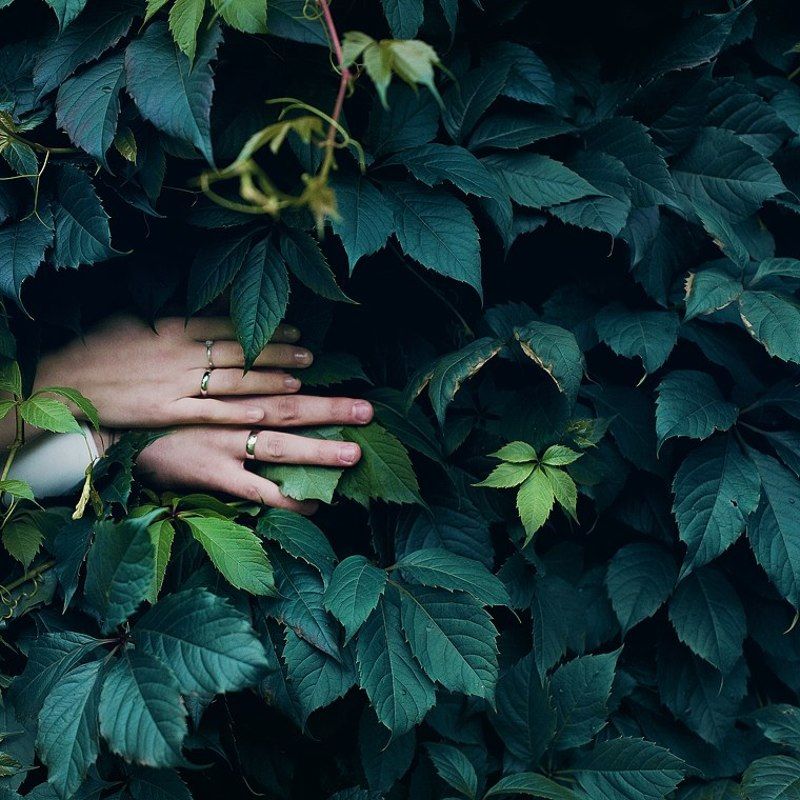 just marriedphoto preview