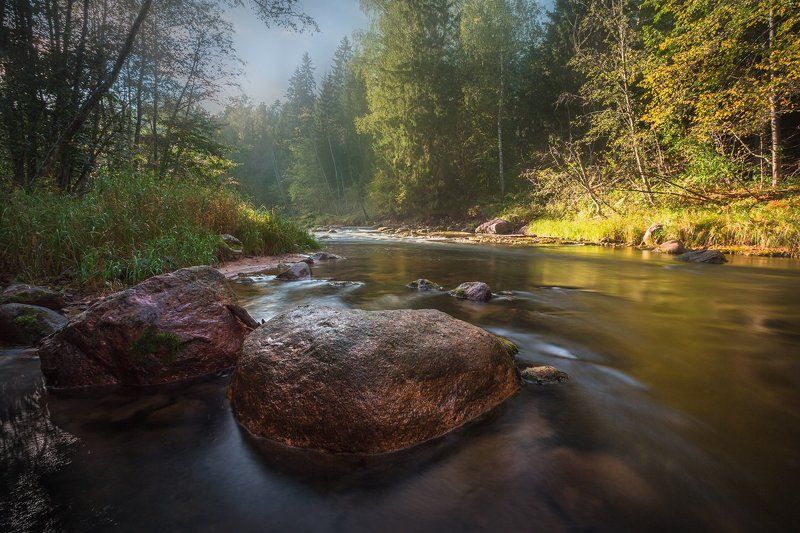 Амата в сентябреphoto preview