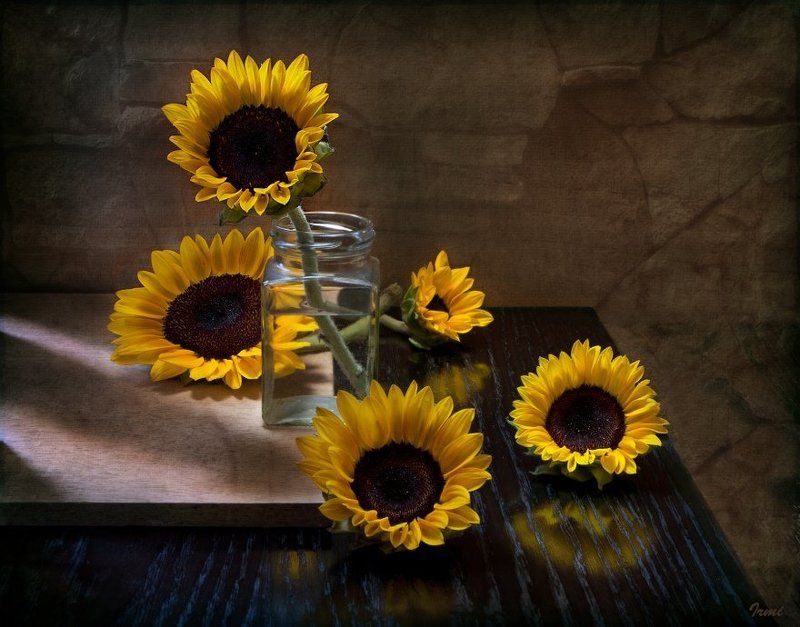 подсолнухи Подсолнухиphoto preview