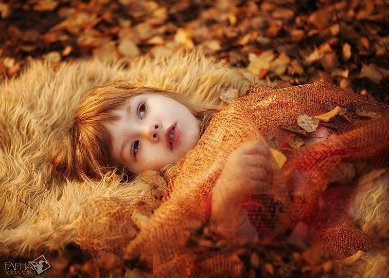 осеньphoto preview