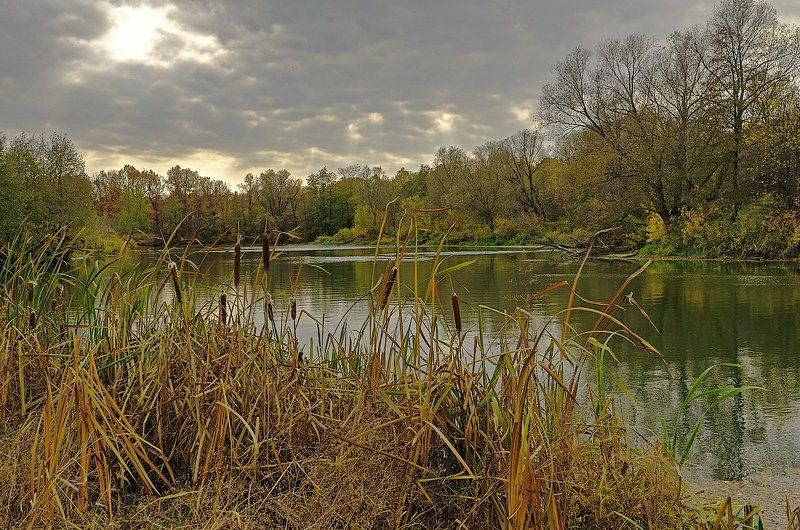 Октябрь.photo preview