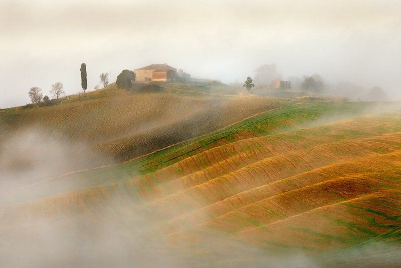 Между туманаphoto preview