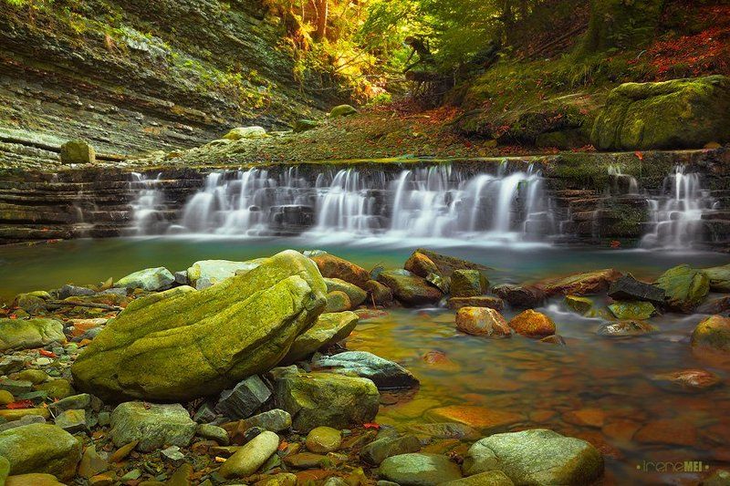 Into the Wild фото превью