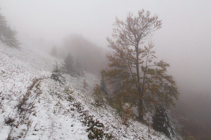 ... фото превью