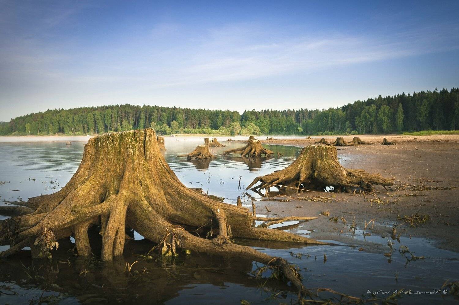 Подводные чудища вылезли погреться.. Автор: Александр Кыров , Александр Кыров