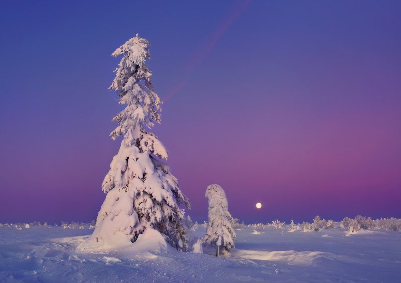 урал, зима, гух, рассвет, снег, ели Зима...photo preview