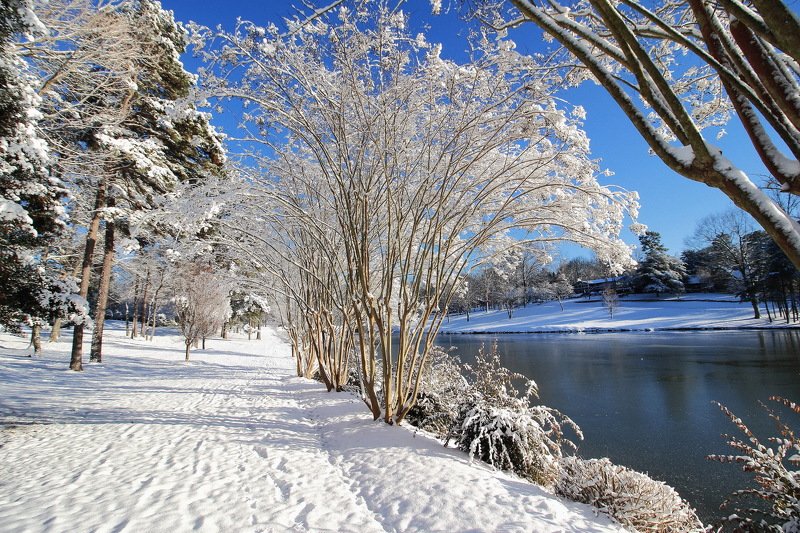 Зимний день...photo preview