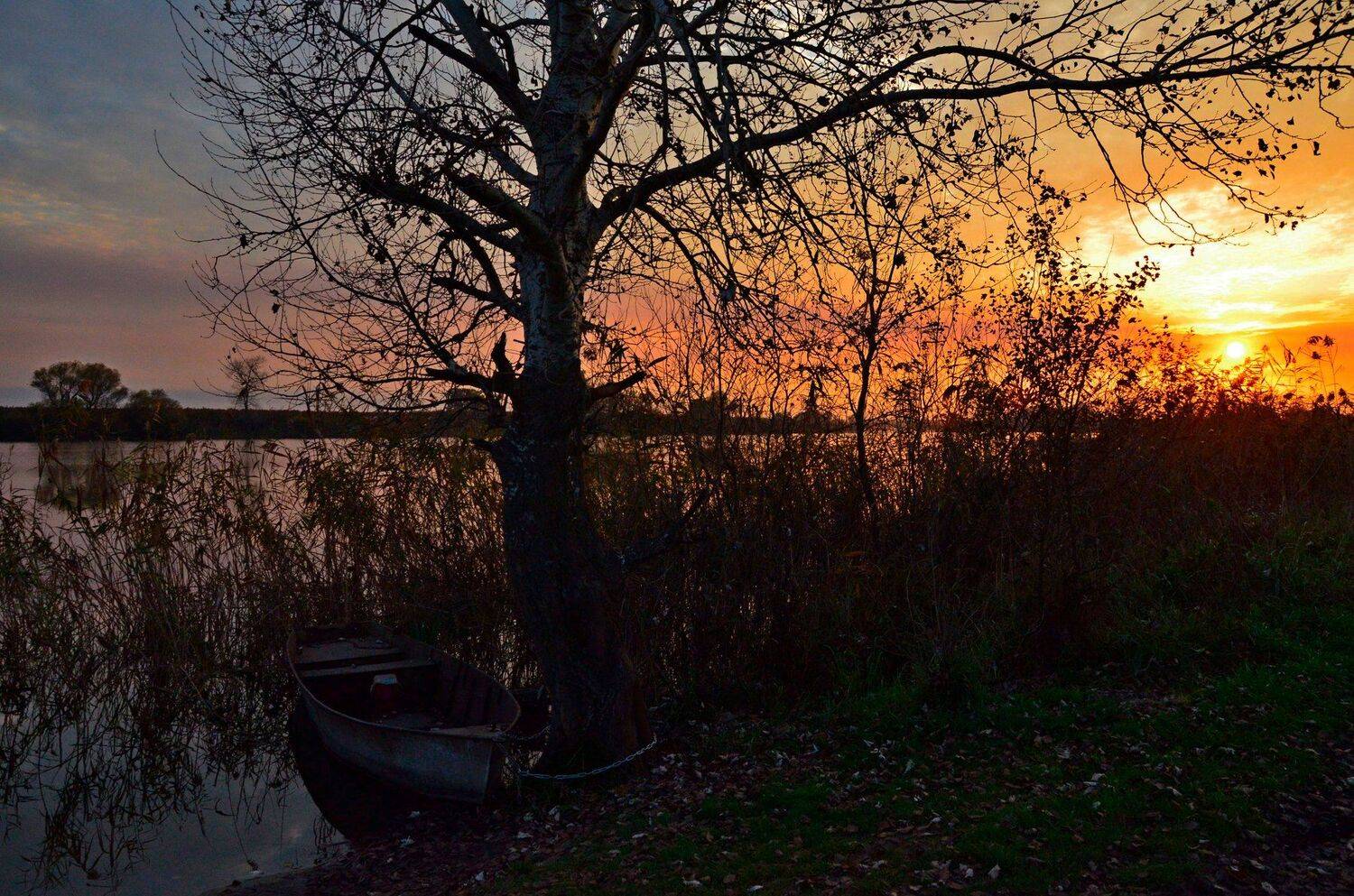 У озера. Автор: Алексей Рыльский , Алексей Рыльский