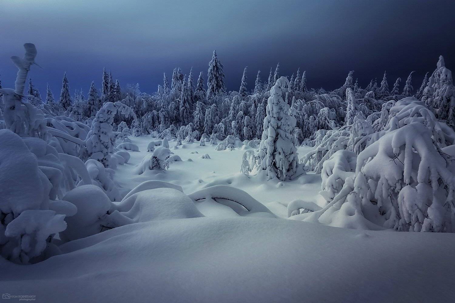 , Антон Кошетаров