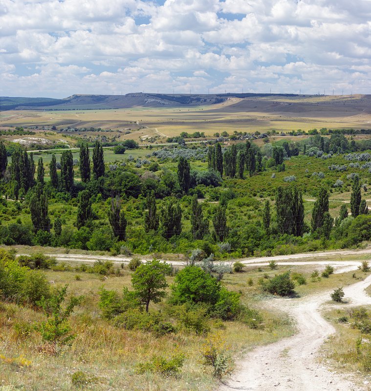 скала,небо,горы,дорога,деревья,крым,сад,трава Крым ( вид с задней стороны Белой скалы ) ( Красная Балка )photo preview