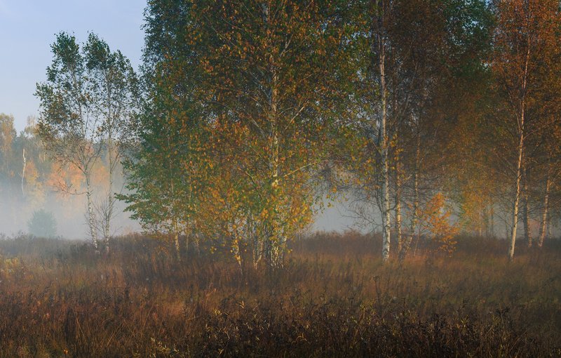 луг, осень, октябрь, утро, рассвет, туман Туманный рассвет на лугу, октябрьphoto preview