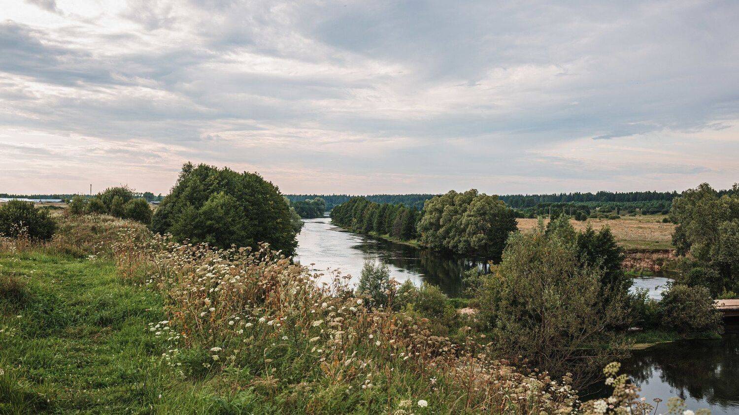 пейзаж, гремячево, лето, поле, небо, река, river, heaven, field, summer, village, село, Владимир Васильев