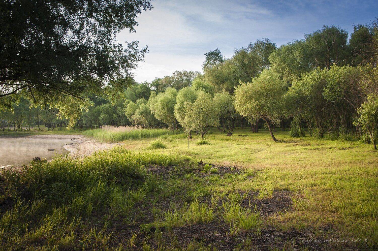 Вспоминая лето.... Автор: Александр Кыров , Александр Кыров