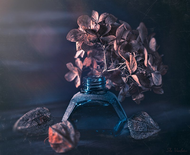 Зимний натюр ..photo preview