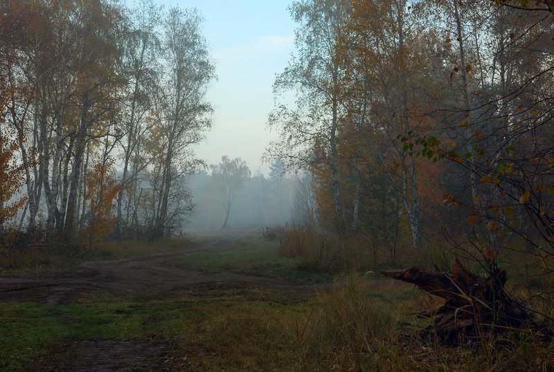 луг, осень, октябрь, утро, сумерки, туман Предрассветная тишина, октябрьphoto preview