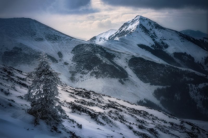 Long Way Homephoto preview