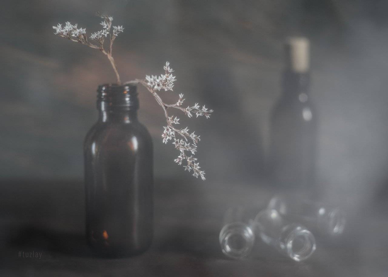 На звёздочки и пузырьки тумана напустив.... Автор: Владимир Тузлай цветы звёздочки, софт фокус, гелиос, Владимир Тузлай