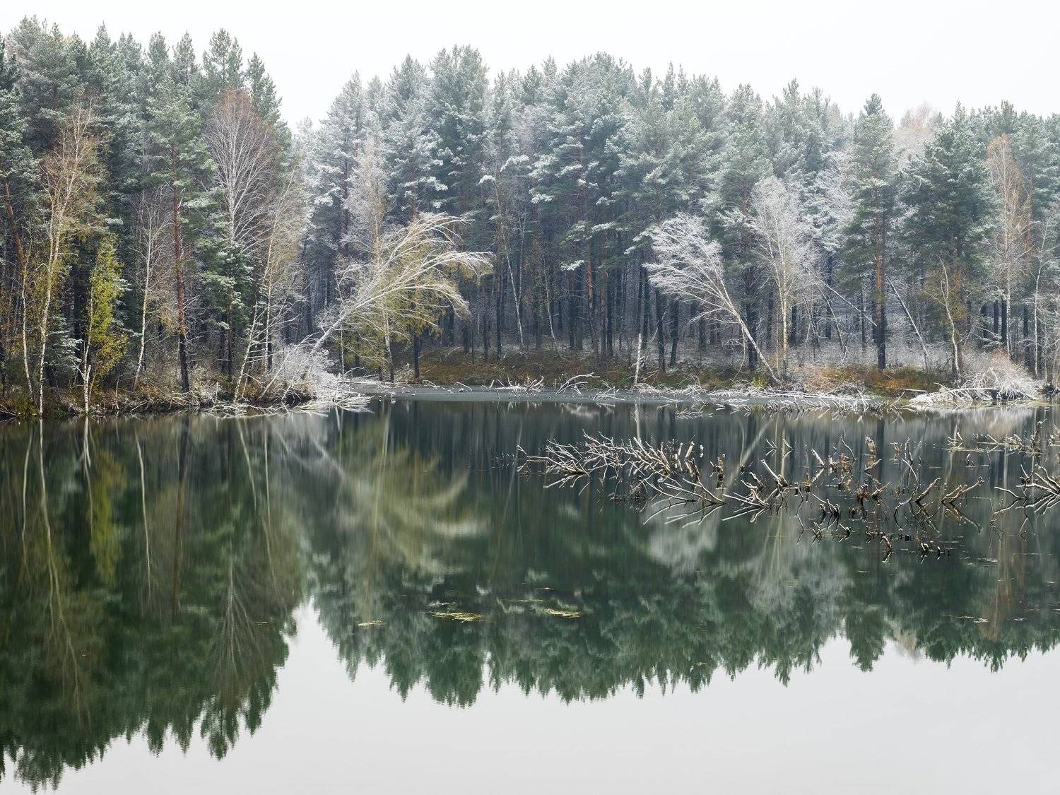 первый снег. пруд у села карпысак новосибирской области. Автор: роман фарберов , роман фарберов