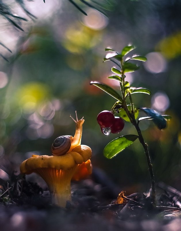 Дверь в иной мирphoto preview