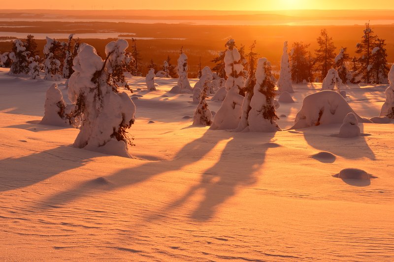 Мандариновый десерт...photo preview