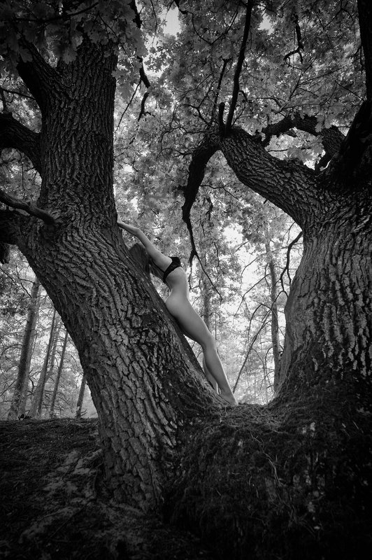 konstantin skomorokh константин скоморох kiev киев severodonetsk северодонецк ню art nude fine art ukraine Forest Nymphphoto preview