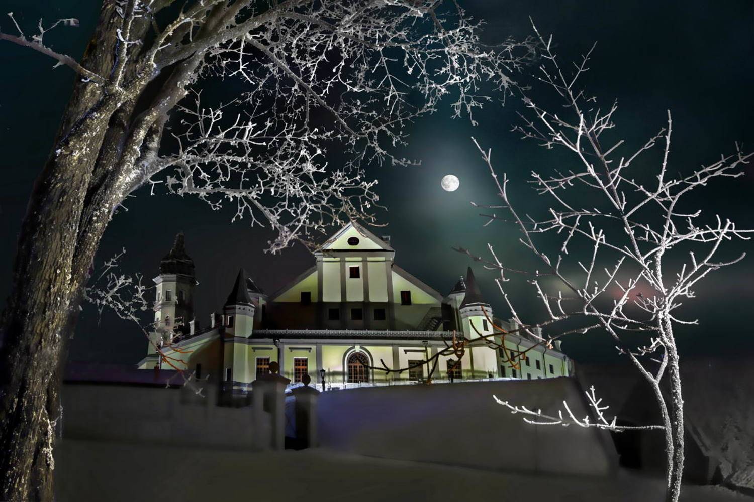 беларусь, несвиж, замок, радзивиллы, Melnik-oy Serg-N-