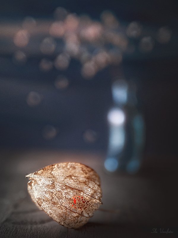 натюрморт Натюр..photo preview