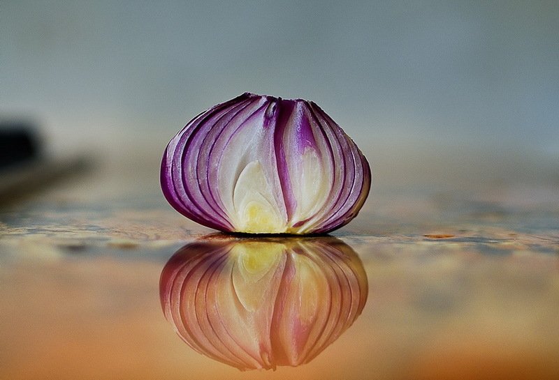 Лук.photo preview