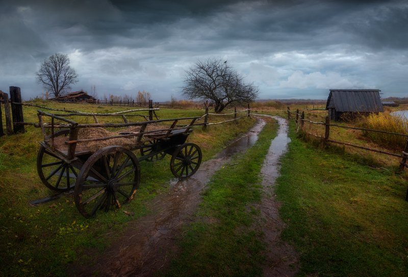 осень, дорога, телега, дождь, россия, непогода, деревня, Время печалиphoto preview