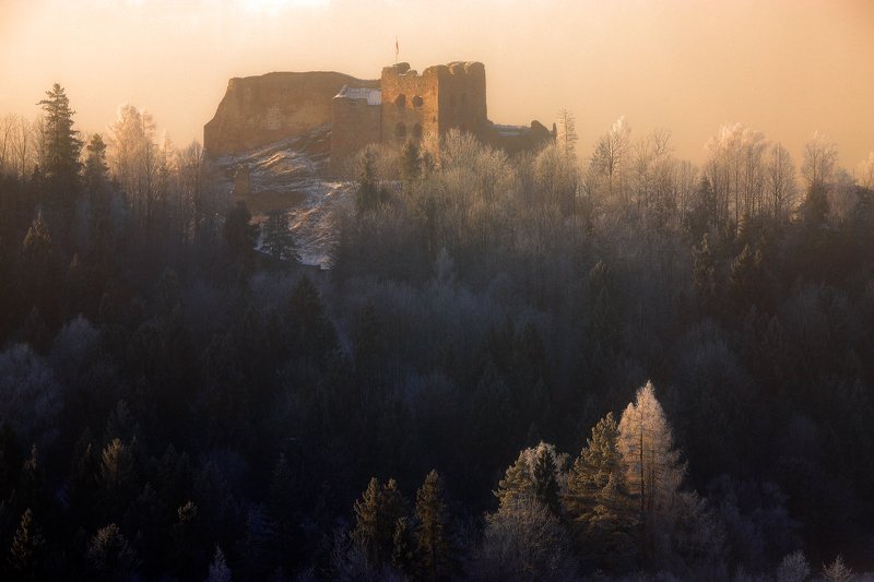 castle, morning, sunrise, forest, tree, light, mist, poland, pieniny, ruins, winter, Czorsztyn castlephoto preview