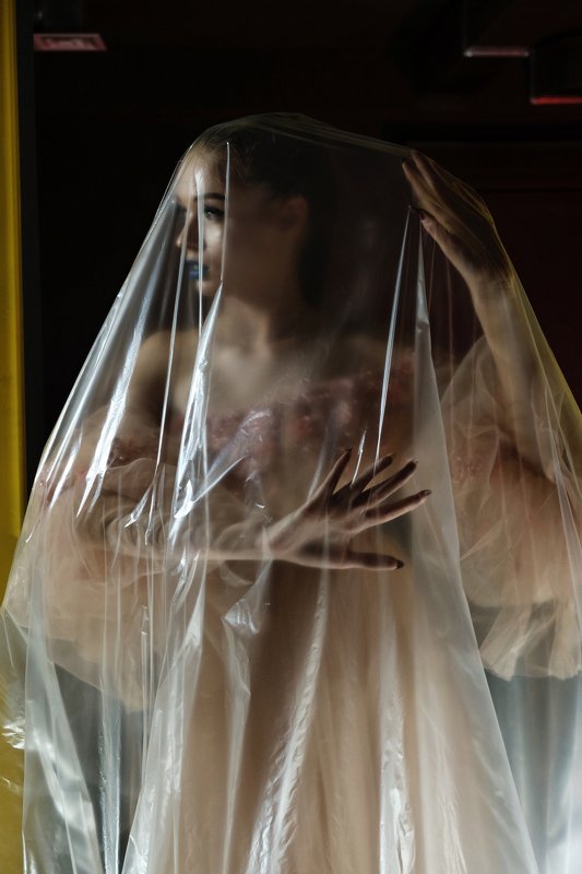 Обыкновенная историяphoto preview