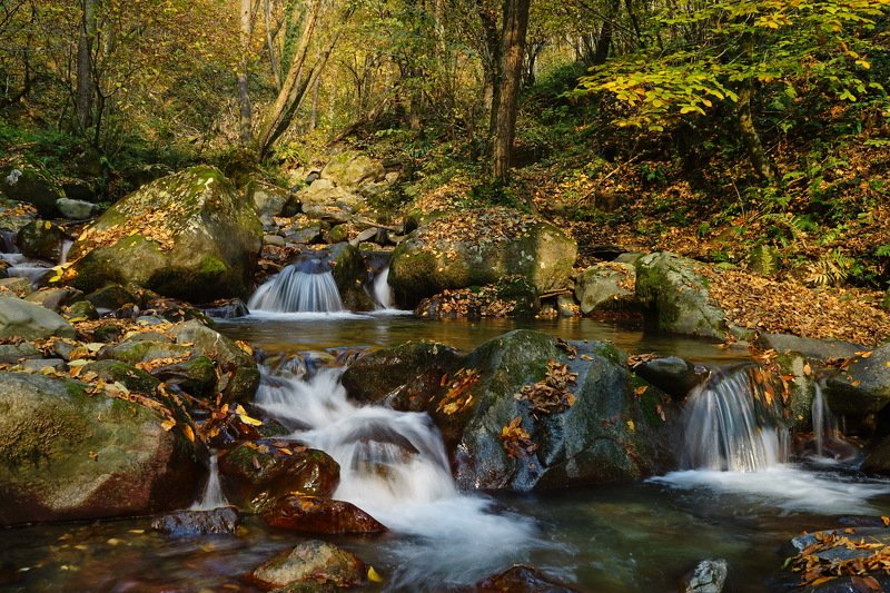 горы река осень Осенняя речкаphoto preview